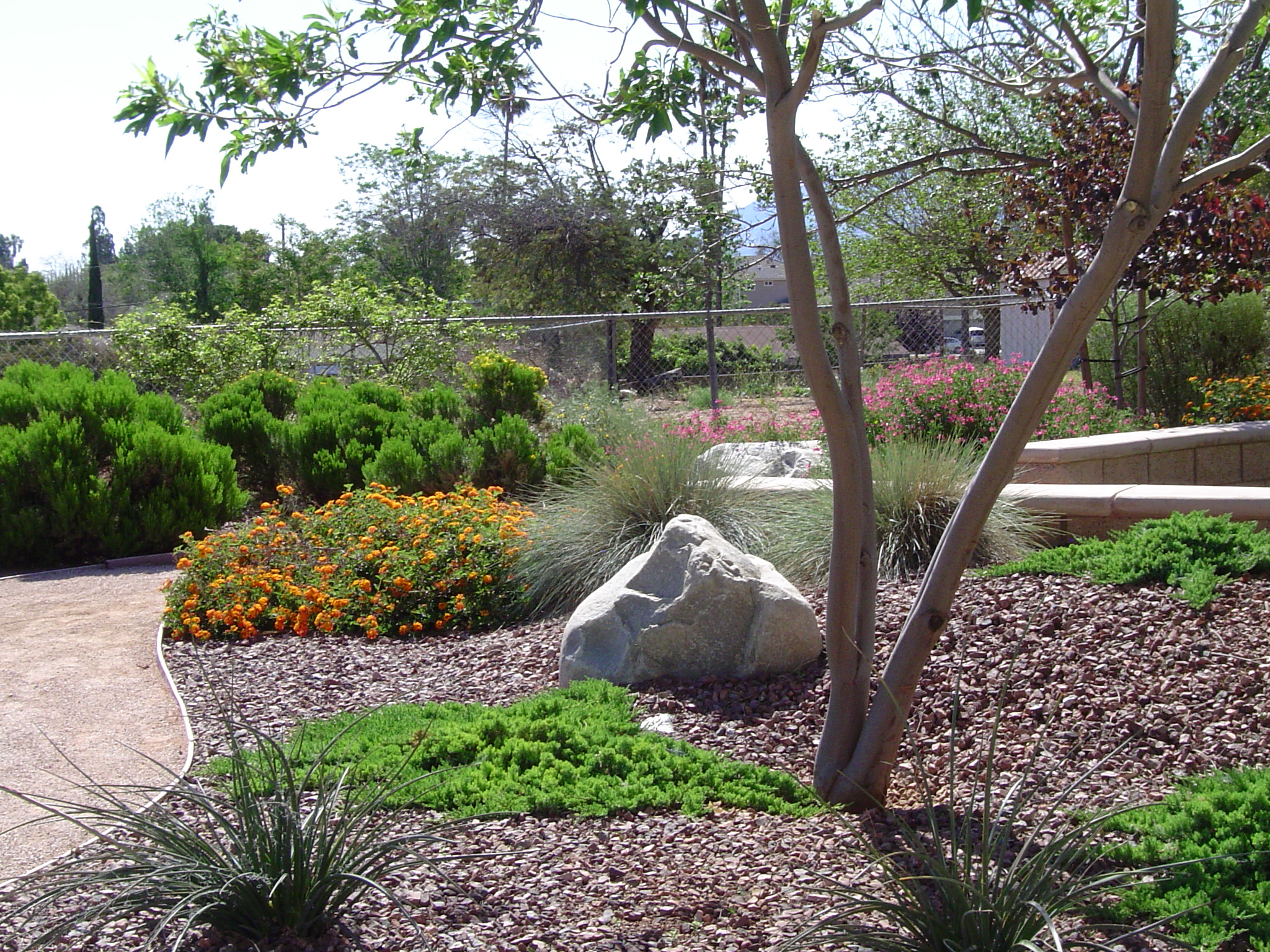 SGPWA water conservation garden