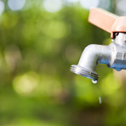 conserve water
