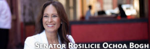 Senator-Rosilicie-Ochoa-Bogh-banner
